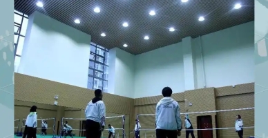 羽毛球